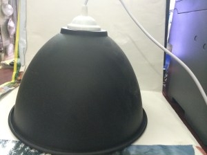 Chao màu 300 đen