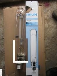 Bóng son 1000W Philips 1