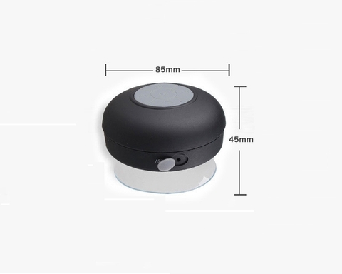 Loa Bluetooth VENUE AUDIO D6