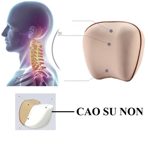 BỘ TỰA LƯNG GỐI ĐẦU CAO SU NON MÃ M5B