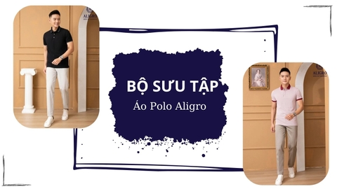 Áo Polo Nam Aligro: Địa Chỉ Bán Áo Polo Nam Hàng Đầu