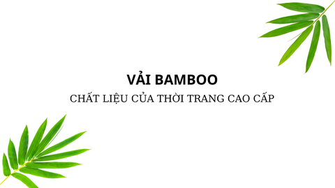 Vải Bamboo là gì? Đặc tính & ứng dụng của vải Bamboo