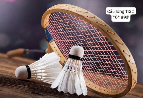 Quả Cầu lông 1130 (Trái)