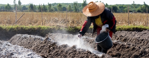 Cách sử dụng Vôi Nông Nghiệp trong trồng trọt