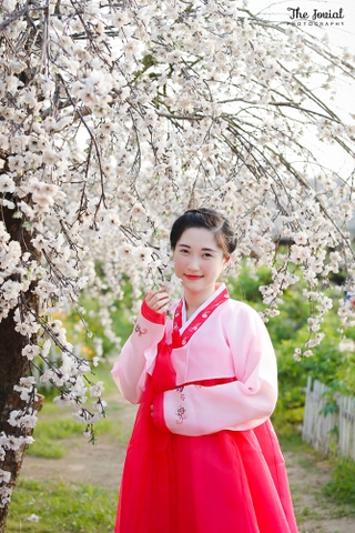 Trang phục truyền thống Hàn Quốc Hanbok