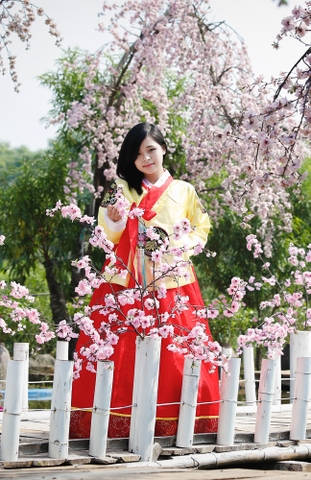 Trang phục truyền thống Hàn Quốc Hanbok