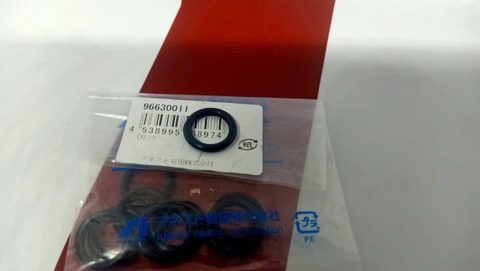 Vòng đệm o ring 96630011 Anest Iwata #22