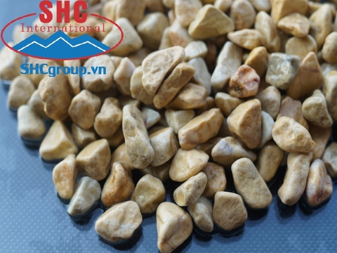 SỎI VÀNG SỎI VÀNG