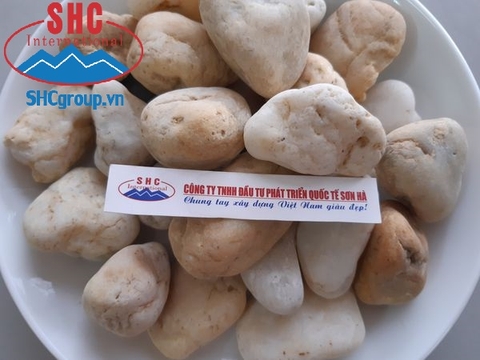 SỎI TỰ NHIÊN CAO CẤP SỎI TỰ NHIÊN CAO CẤP