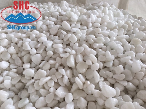 SỎI TRẮNG TRANG TRÍ SỎI TRẮNG TRANG TRÍ