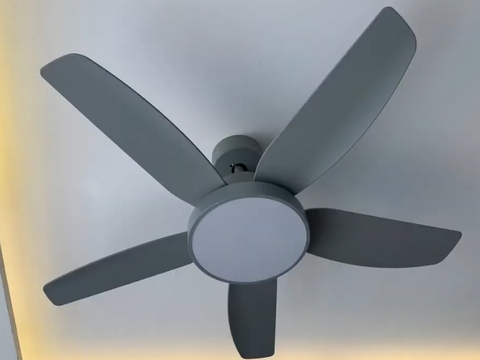 Đặc Điểm Nổi Bật Của Quạt Trần Đèn 5 cánh TCL-F3461S