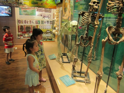 A VISIT TO THE NATIONAL MUSEUM OF NATURE