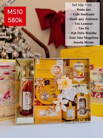 Set Quà Tết Hộp + Túi MS10 VÀNG