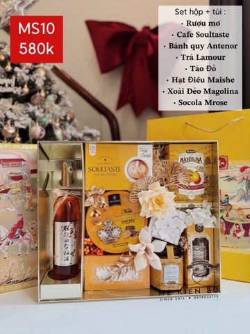 Set Quà Tết Hộp + Túi MS10 VÀNG