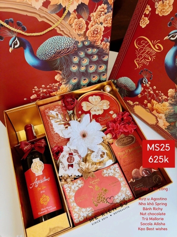 Set Quà Tết Hộp + Túi Công MS25
