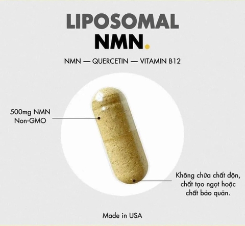 Viên Uống Chống Lão Hóa Codeage Liposomal Nmn 90V - hàng cty