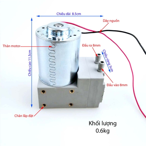 Máy Bơm Chân Không Đơn 12VDC 220VDC Màu Trắng