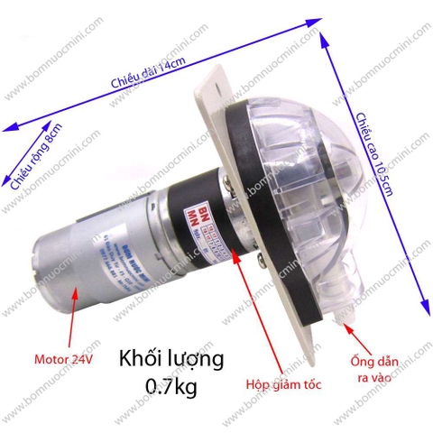 Bơm Nhu Động 12V 1000ML/P