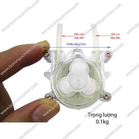 Bơm Nhu Động 6V (0-60ml/p)