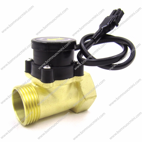 Van Điện Cảm Biến Dòng Chảy