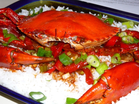 chilli-plus-mud-plus-crab-plus-020.jpg