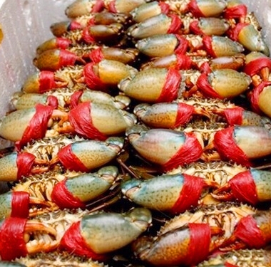 Cua thịt xuất khẩu