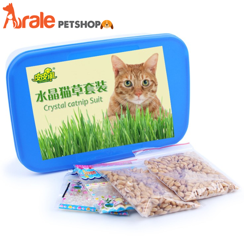 BỘ TRỒNG CỎ TƯƠI VÀ CATNIP CHO MÈO