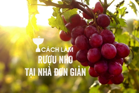 Cách Làm Rượu Nho Tại Nhà Đơn Giản và Công Dụng