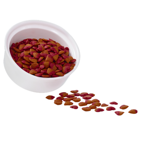 Bánh Thưởng Cho Mèo Me-O 50g