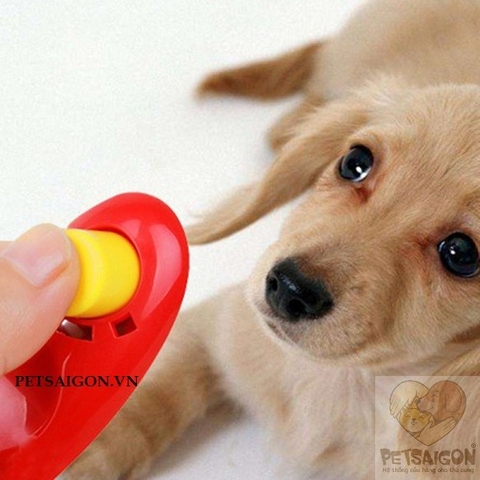 Clicker Huấn Luyện Chó