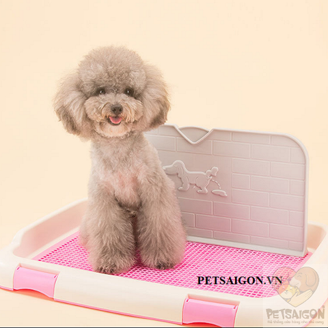 Khay Vệ Sinh Cho Chó Có Tường Chắn