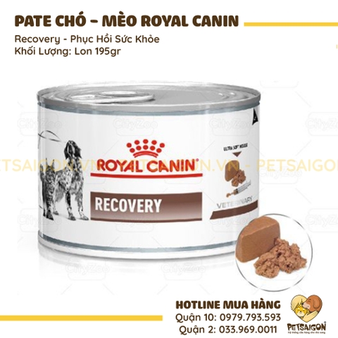 Pate Cho Chó Mèo Royal Canin Recovery Phục Hồi Sức Khỏe 195g