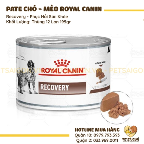 Pate Cho Chó Mèo Royal Canin Recovery Phục Hồi Sức Khỏe 195g