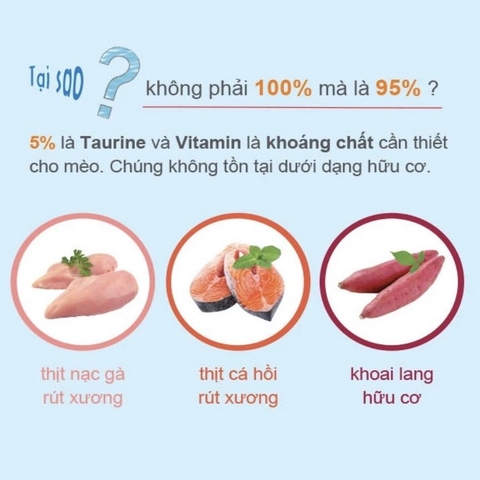 Thức Ăn Natural Core Giàu Đạm Cho Mèo 95% 1Kg