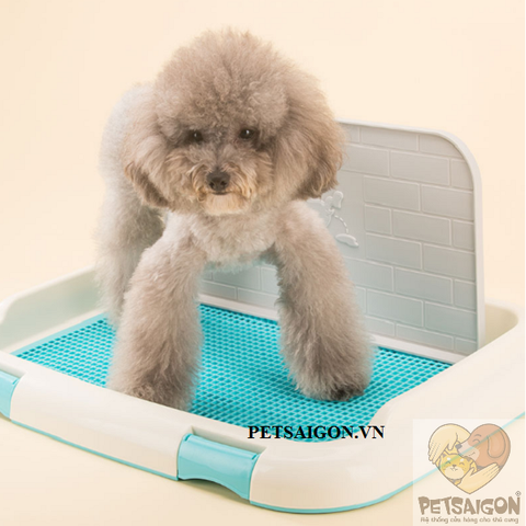 Khay Vệ Sinh Cho Chó Có Tường Chắn