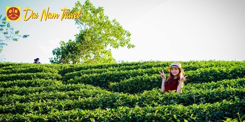 Tour Hà Nội - Mai Châu - Mộc Châu (2 ngày 1 đêm)