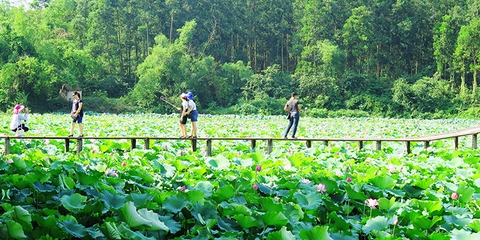 Tour K9 Đá Chông - Đầm Long