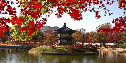 TOUR SEOUL - NAMI - EVERLAND - NÚI NAMSAN - 5N4Đ