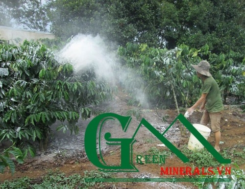 BÓN VÔI CHO CÂY TRỒNG MANG LẠI NHIỀU LỢI ÍCH