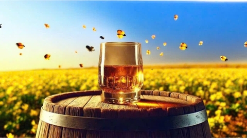 Thị trường whisky Việt Nam dự kiến sẽ đạt 440 triệu đô la mỹ vào cuối năm 2025