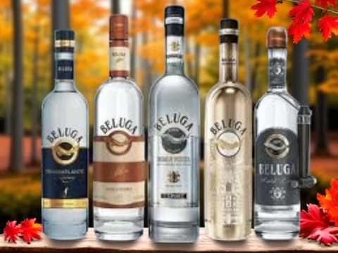 Beluga Noble và Gold Line: Nên chọn loại nào?