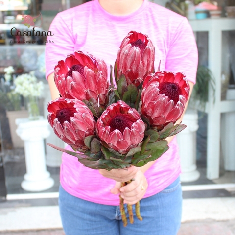 Thảo đường Sharon