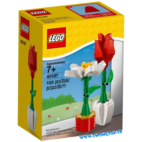 HOA LEGO 40187 Lego Flower Display - Bộ LEGO Hoa trưng bày