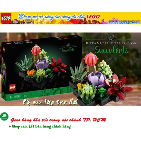 [Có sẵn] 10309 LEGO Creator Expert Succulents - Đồ chơi xếp hình Sen đá