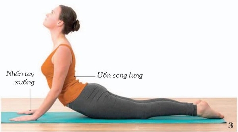 Chỉ cần tập 4 động tác yoga cơ bản này cũng đủ có cơ bụng săn chắc