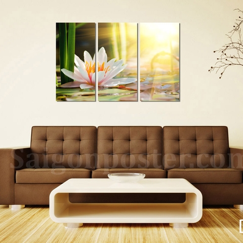 Tranh Treo Tường Hoa Sen Tranh Treo Tường Hoa Sen
