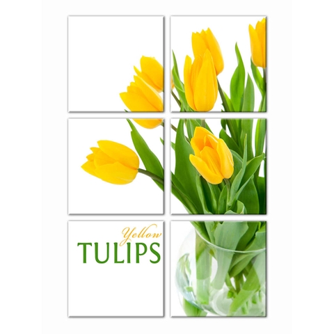Bộ Tranh Treo Tường Hoa Tulip D321A