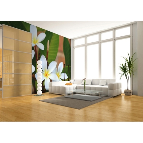 Tranh Dán Tường TD18A Tranh Dán Tường TD18A