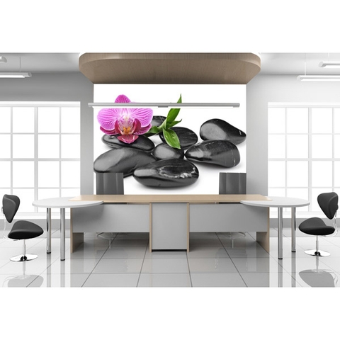 Tranh Dán Tường TD21A Tranh Dán Tường TD21A