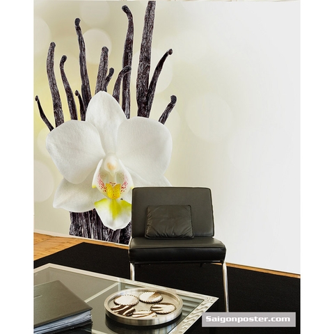 Tranh Dán Tường TD22A Tranh Dán Tường TD22A